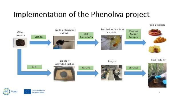 Implementation of the Phenoliva project