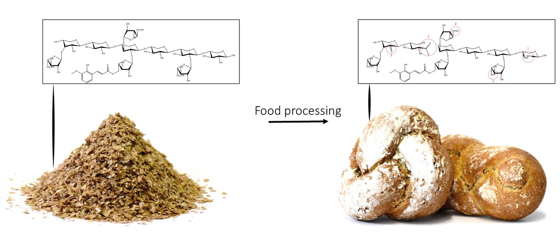 food-processing